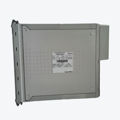 ICS TRIPLEX TC-201-02-4M5 Trusted Companion Slot, 40 Channel Output Module